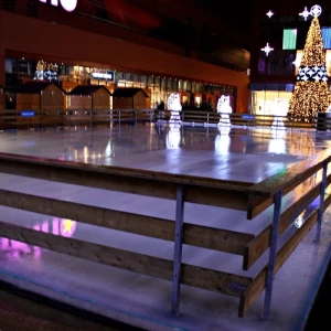 dzierzawa lodowisk rzeszow1